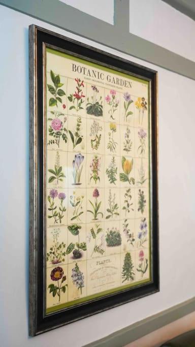 הוילה *Stunning* The Botanist Rest Ventnor Iow מראה חיצוני תמונה
